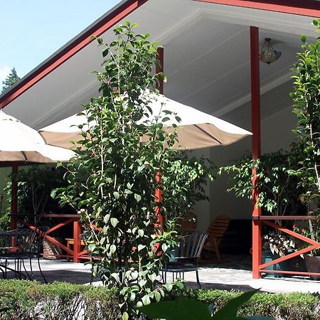 Cielito Sur Bed & Breakfast Inn Cerro Punta Eksteriør billede