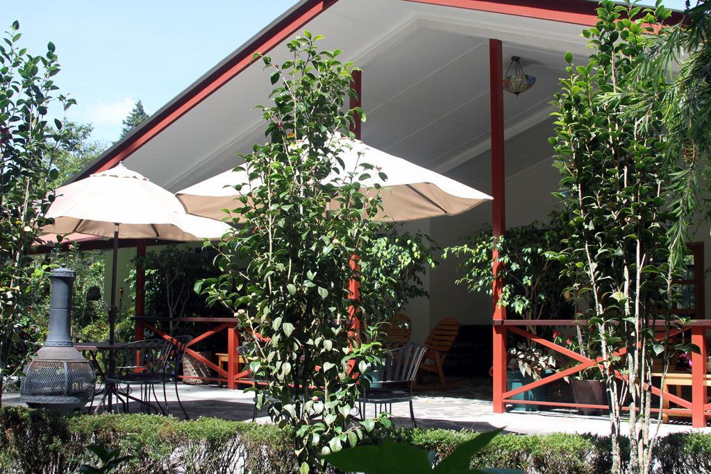 Cielito Sur Bed & Breakfast Inn Cerro Punta Eksteriør billede